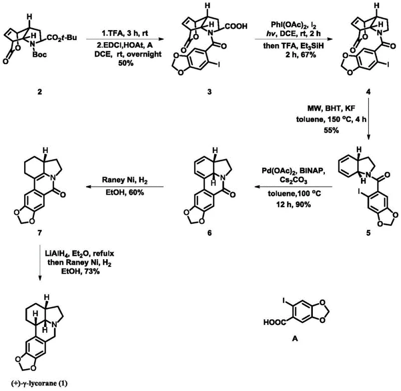 Detailed embodiment route showing specific reagents and conditions for each step