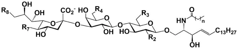 Final condensation reaction scheme converting sialylated intermediates to Ganglioside GM3 derivatives