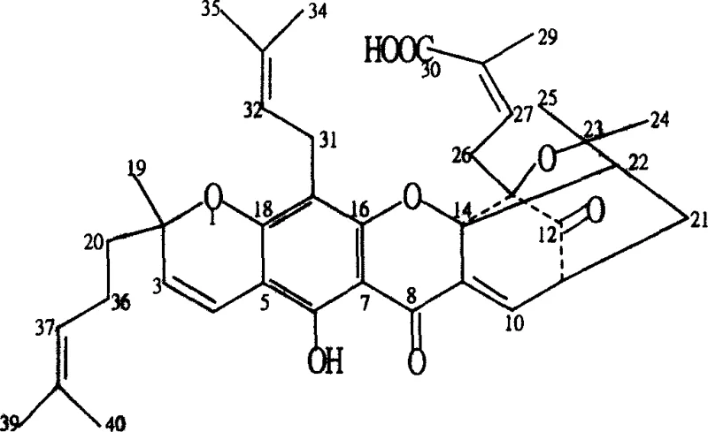 Chemical structures of Morellic acid, Neogambogic acid, and Allogambogic acid showing modification sites