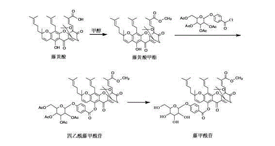 Complete synthetic route of Garcinoside showing esterification, glycosylation, and deacetylation steps