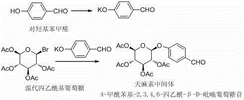Reaction scheme showing the synthesis of gastrodin intermediate from p-hydroxybenzaldehyde and bromotetraacetyl glucose