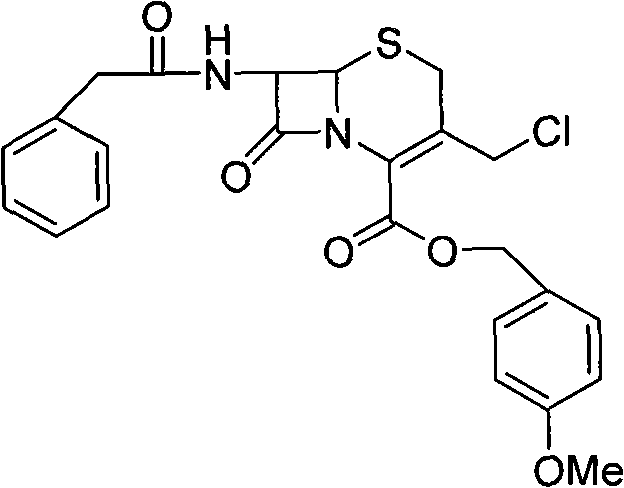 Synthetic route chart of GCLE from Penicillin G potassium salts showing esterification, oxidation, ring expansion, and chlorination steps