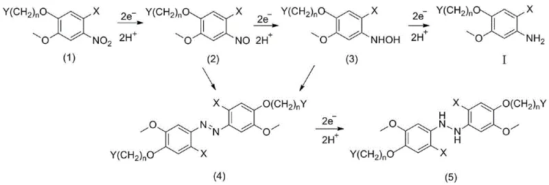 Stepwise reaction mechanism showing the reduction from nitro to nitroso, hydroxylamine, and finally amine