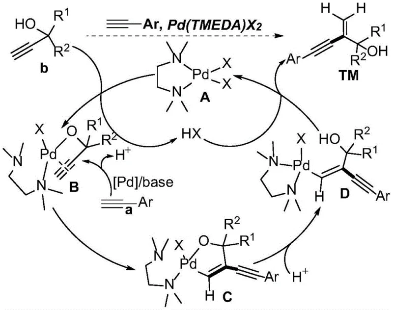 Detailed catalytic cycle mechanism showing cyclopalladated intermediate and anti-carbopalladation pathway
