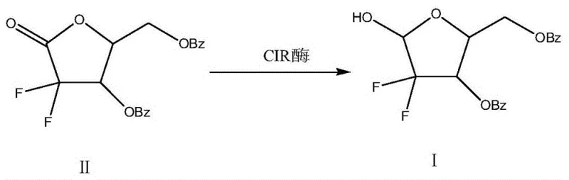 Reaction scheme showing the CIR enzyme catalyzed reduction of Compound II to Compound I