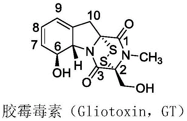 Chemical structure of Gliotoxin showing the core epipolythiodiketopiperazine skeleton