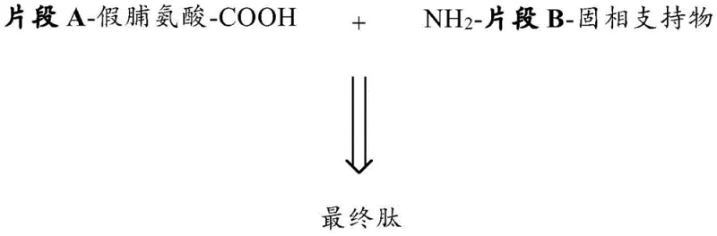 General reaction scheme showing convergent coupling of Fragment A and Fragment B
