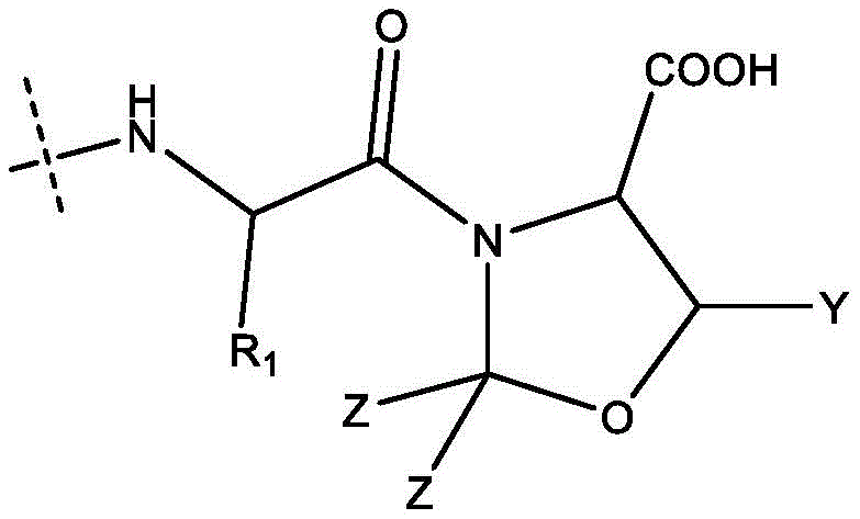 Chemical structure of pseudoproline dipeptide showing oxazolidine ring and variable groups