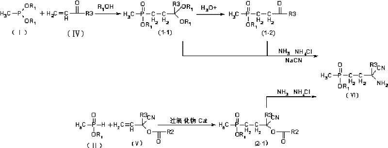 Radical addition pathway converting Intermediate II to glufosinate precursors