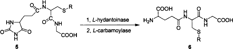 Enzymatic hydrolysis of hydantoin intermediate to S-protected glutathione using L-hydantoinase