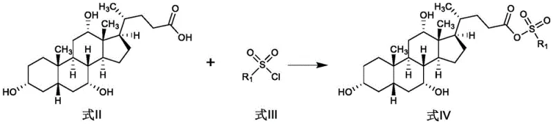 Reaction scheme showing activation of cholic acid with sulfonyl chloride to form active intermediate