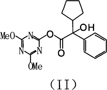 Structure of the active triazine intermediate (Formula II) formed during acid activation
