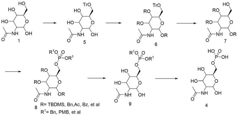 Novel synthetic route overview showing selective trityl protection and benzyl phosphorylation