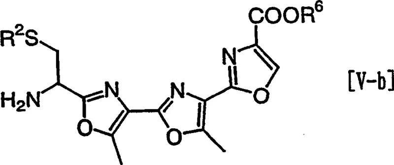 Synthesis of cyclic compound II from acetal and thiol derivatives via amide coupling