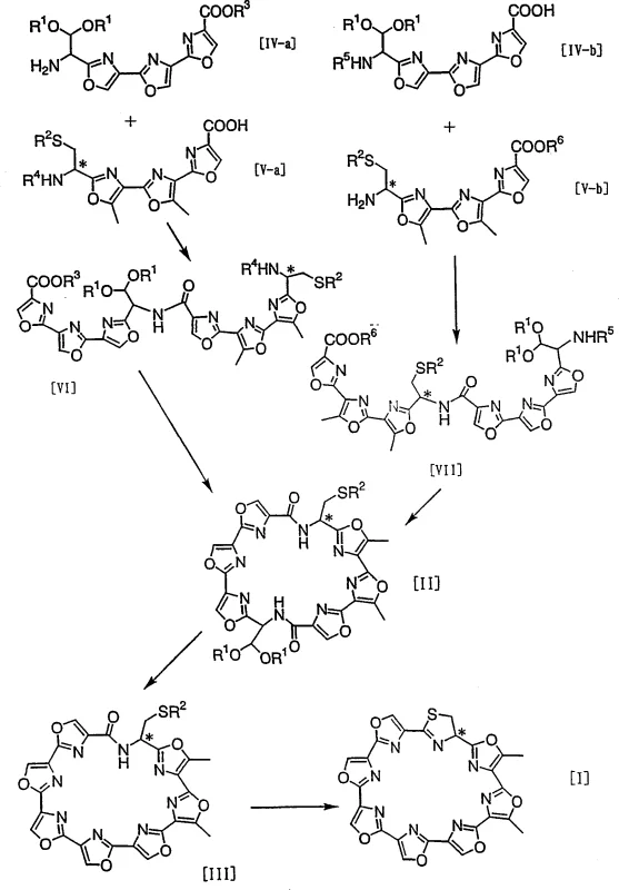 Overall synthetic roadmap showing the conversion of precursors to GM-95 via macrocyclic intermediates