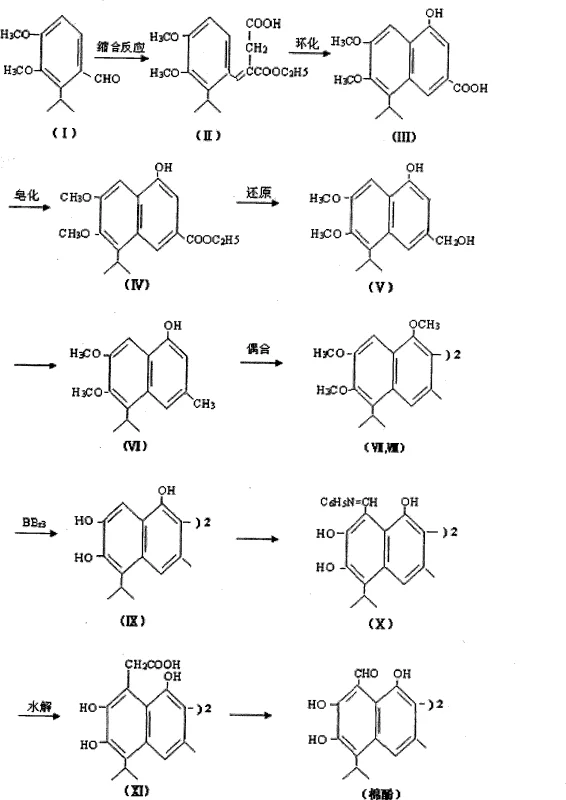 Complete synthetic route of Gossypol from 2-isopropyl-3,4-dimethoxy-benzaldehyde showing condensation, cyclization, reduction, coupling, and demethylation steps