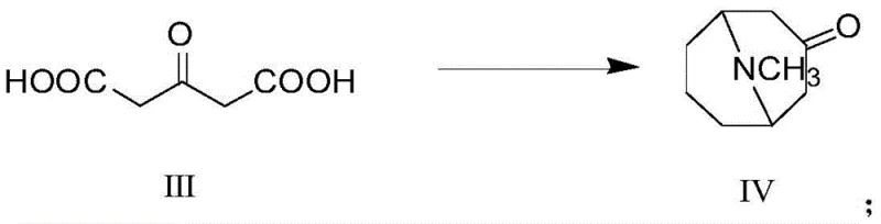 Mannich reaction converting acetone dicarboxylic acid to pseudopelletierine