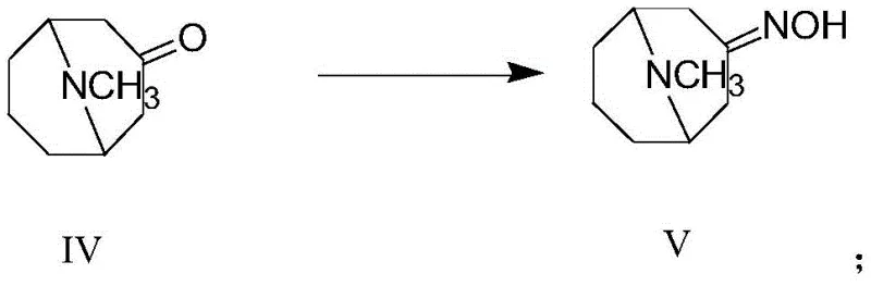 Formation of 3-homotropinone oxime from pseudopelletierine