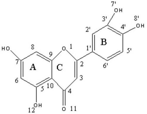 Chemical structure of Luteolin showing the core flavonoid scaffold with hydroxyl groups at positions 5, 7, 3', and 4' ready for modification