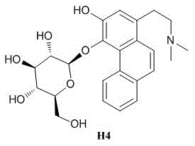 Chemical structure of the target phenanthrene alkaloid glycoside H4 showing the phenanthrene core and glucose moiety