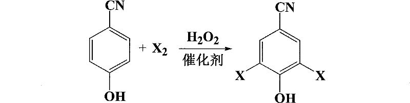 Reaction scheme for oxidative halogenation of p-cyanophenol using X2 and H2O2 catalyst system