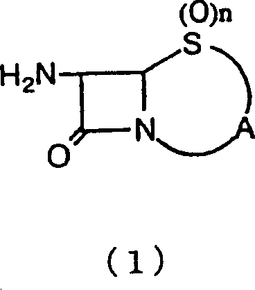 General reaction scheme showing the conversion of beta-lactam amino compounds to halogenated derivatives using nitrous acid and halogens in aqueous slurry