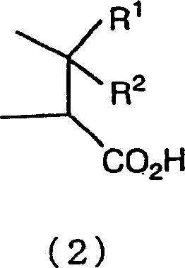 Structural definitions of the A group representing penicillane and cephem skeletons applicable to the halogenation process