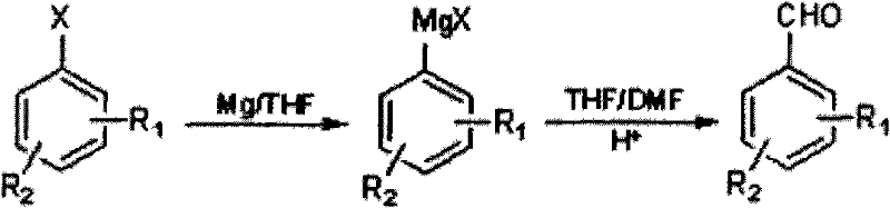 General reaction scheme showing the conversion of halogenated benzene to Grignard reagent and subsequent formylation to halogenated methyl-benzaldehyde