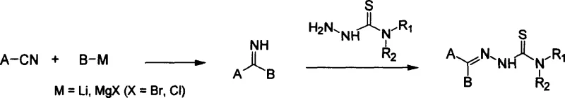 General synthetic scheme showing Grignard addition to nitrile followed by condensation with thiosemicarbazide