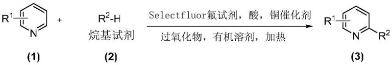 General reaction scheme for copper-catalyzed alkylation of nitrogen heterocycles using Selectfluor and peroxides