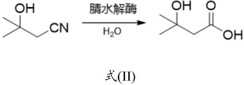 Biocatalytic hydrolysis of 3-hydroxy-3-methylbutyronitrile to HMB using nitrilase mutant