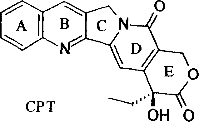 Chemical structure of natural Camptothecin showing the unstable six-membered E-ring lactone