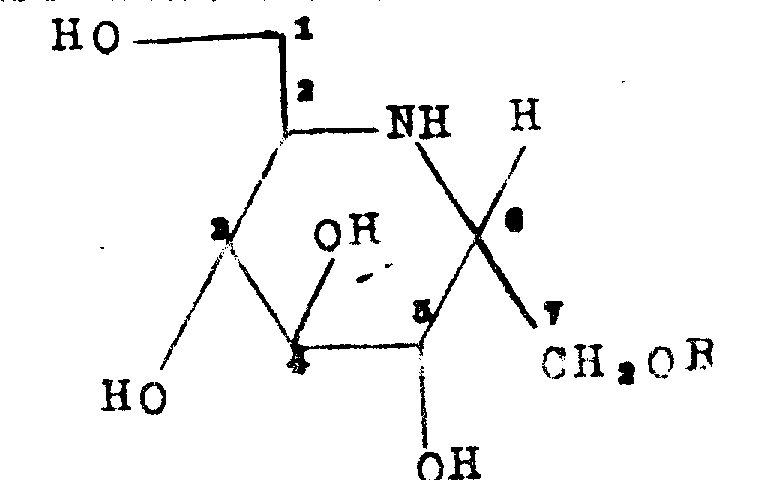 General chemical structure of homonojirimycin glycosides showing the core heptitol skeleton and glycosidic linkage
