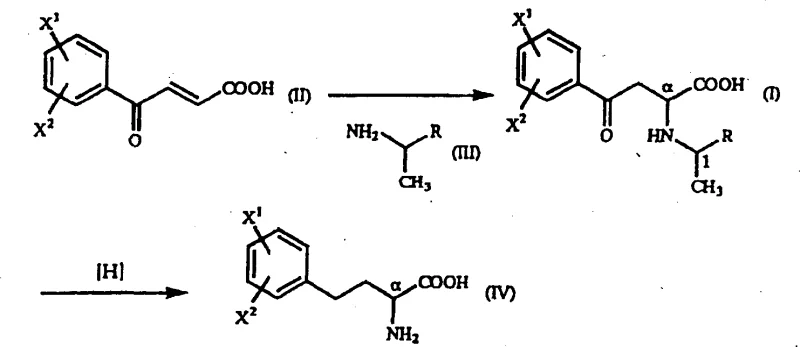 Overall reaction scheme showing Michael addition and reduction to form homophenylalanine derivatives