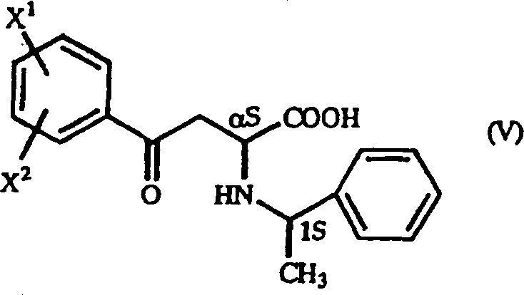 Chemical structure of (alpha S, 1S) gamma-oxo-homophenylalanine derivative