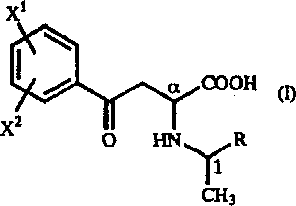Chemical structure of gamma-oxo-homophenylalanine derivative intermediate showing key functional groups