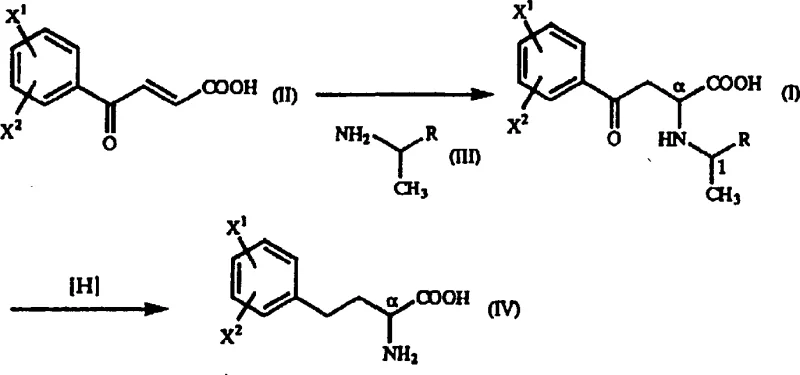 Complete reaction scheme showing Michael addition followed by reduction to homophenylalanine