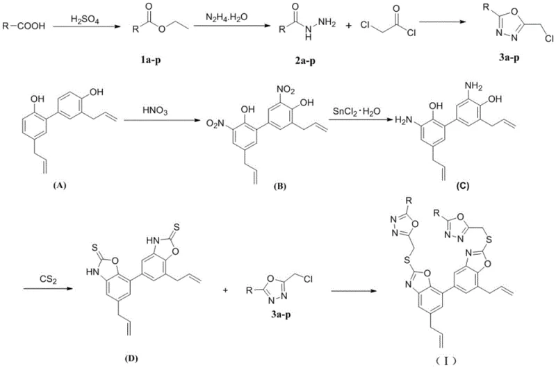 Overall synthetic route for honokiol oxazole derivatives