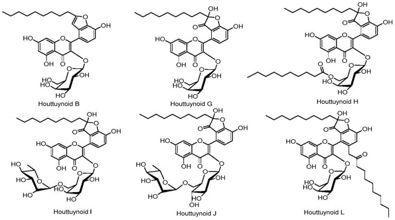 Chemical structures of natural Houttuynoid compounds B, G, H, I, J, and L showing the hybrid flavonoid skeleton