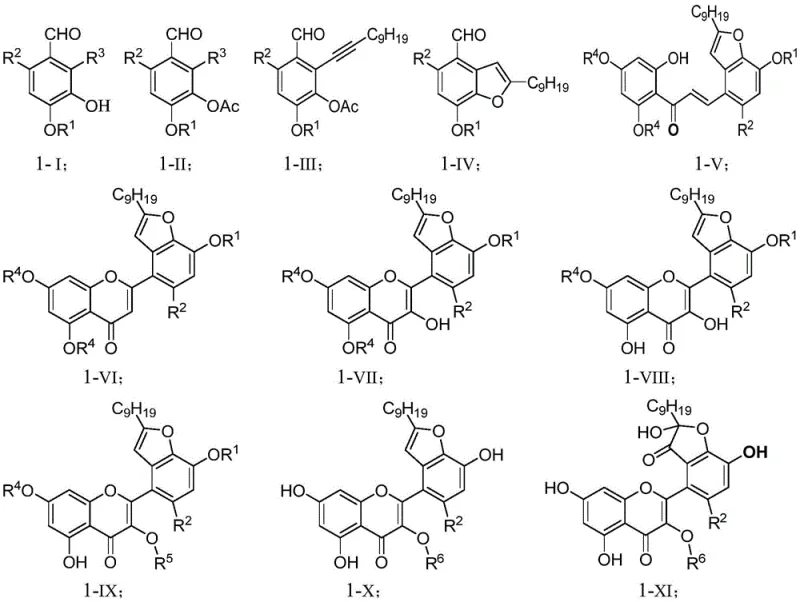 General synthetic route from compound 1-I to 1-XI showing key transformations including coupling and cyclization