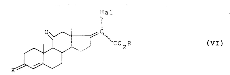 Reaction scheme showing the Zinc-mediated reaction of Formula IV with trihaloacetate to form Formula VI