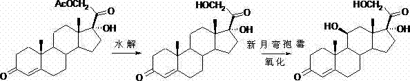 Traditional Rhizopus niger synthesis route showing toxic sodium nitrite and chromium reagents