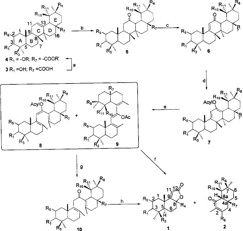General reaction scheme showing the conversion of pentacyclic triterpenoids to decahydro and octahydronaphthalene compounds via photochemical ring opening