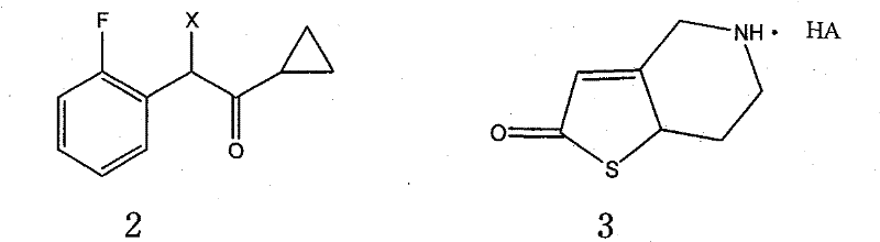 General synthetic scheme showing the condensation of intermediates 2 and 3 to form the target derivative