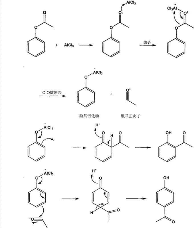 Mechanism of Fries Rearrangement showing Lewis acid complexation, C-O bond cleavage, and acylium ion migration