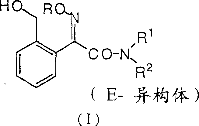 General chemical structure of 2-(2-hydroxymethylphenyl)acetamide derivatives showing variable R groups and E-isomer configuration