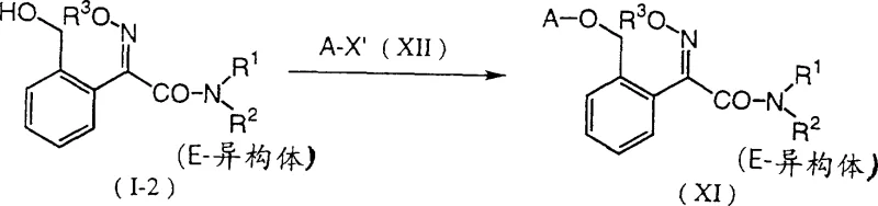 Reaction Scheme 10 showing the conversion of the intermediate into the final active agricultural fungicide compound (XI)