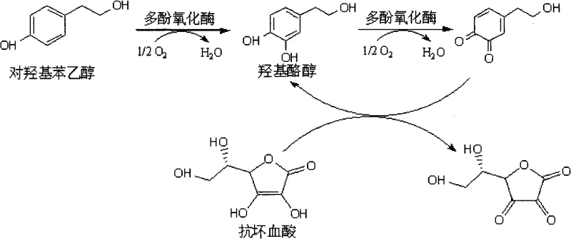 Reaction mechanism showing the oxidation of p-hydroxyphenylethanol to Hydroxytyrosol and the inhibitory role of Ascorbic Acid