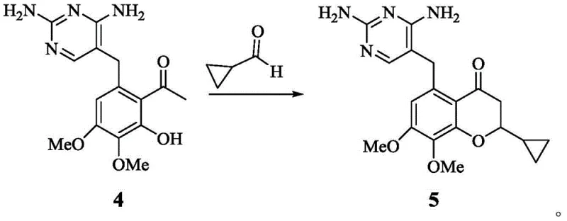 Aldol condensation and cyclization step forming the chromanone core structure