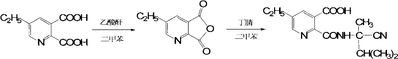 Synthesis of the key amide intermediate via anhydride coupling at low temperature